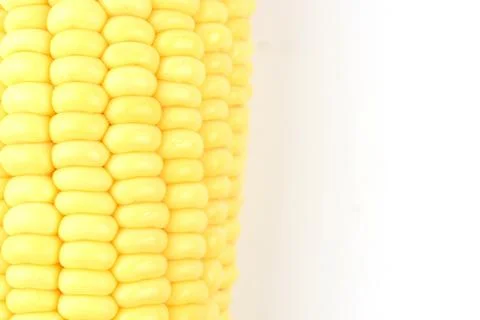 Closeup Corn isolated on a white background 스톡 사진