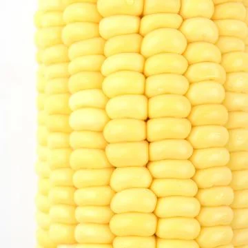 Closeup Corn isolated on a white background Foto stock