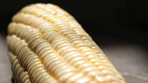 Closeup of a corn textured Stock Footage 302538482