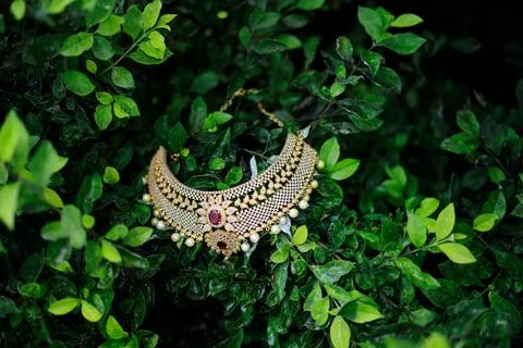 Closeup creative shot of wedding bride necklace jewellery displayed on a plan Stock Photos