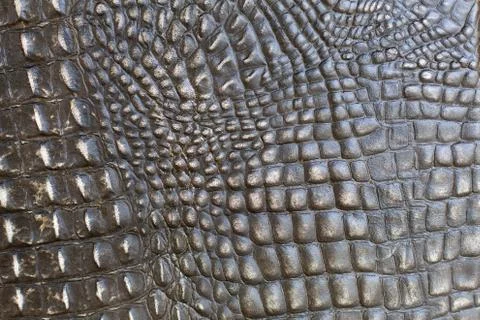 Closeup of crocodile leather. background Stock-Fotos