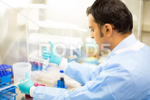 Closeup cropped portrait, scientist pipetting with hands, laboratory experime Stock Photos