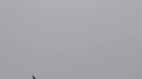 Closeup crow flock fly sky many pigeons bird black dove raven search food cloudy Stock Footage 45758548