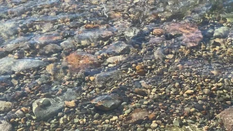 Closeup of crystal clear water rippling over rocky river bed Stock Footage 273176574