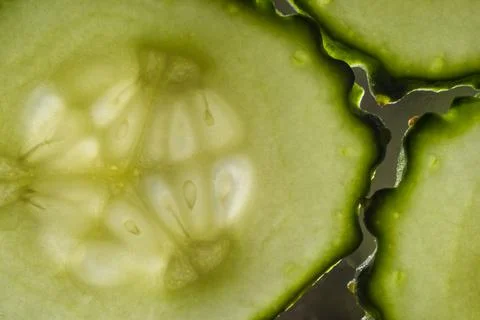 Closeup cucumber slice. Transparent texture of cucumber. Stock Photos