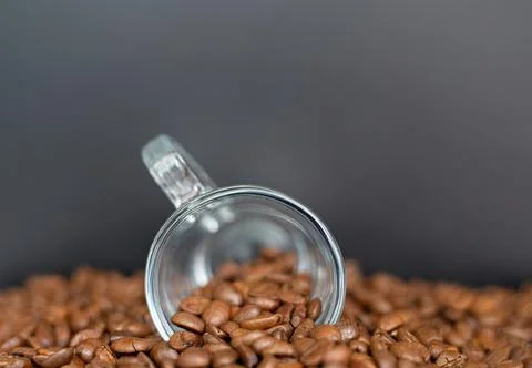 Closeup of a cup of coffee with roasted dark brown coffee beans Stock Photos