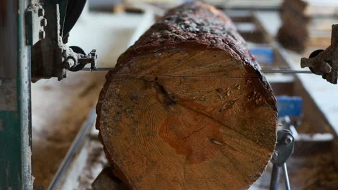 Closeup of cut pine tree log on sawing machine at wood production factory. Stock Footage 145458835