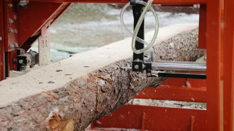 Closeup of cut pine tree log on sawing machine at wood production factory Stock Footage 164868812