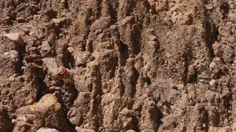 A closeup of a cut of soil. Texture. Background. Stock Photos