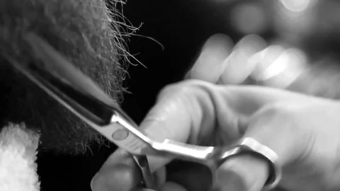 Closeup cutting and grooming beard old-styled footage Stock Footage 77949941