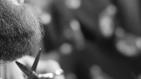 Closeup cutting and grooming beard old-styled footage Stock Footage 77949963