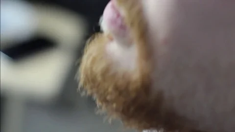 Closeup cutting and grooming beard old-styled footage Stock Footage 77949984