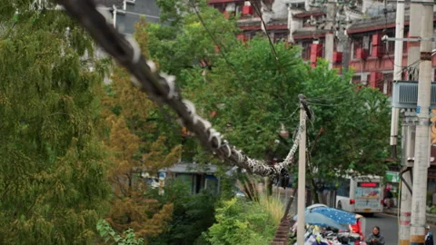 Closeup of damaged cable across lively urban marketplace. Detailed view of worn Stock Footage 335170778