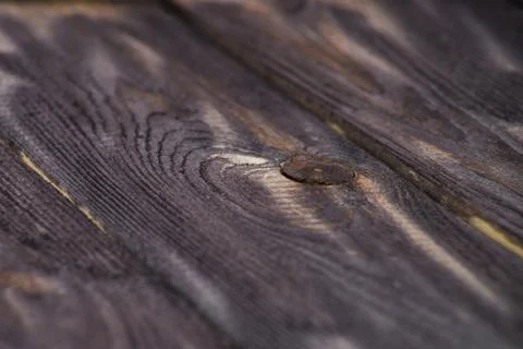 Closeup of a dark board texture. Macro brushed wood. Stock Photos