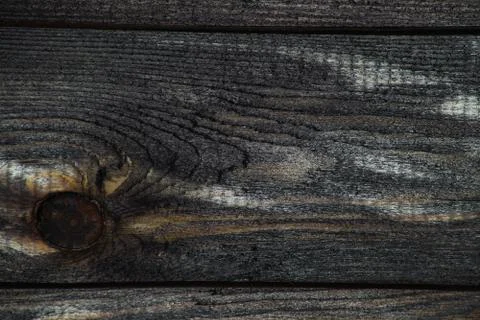 Closeup of a dark board texture. Macro brushed wood. Stock Photos