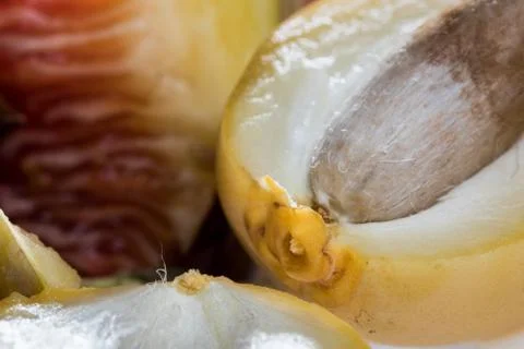 Closeup of date fruit and fig Stock Photos