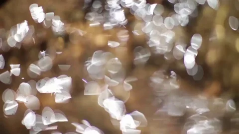 Closeup De-focused Background with Water Stream Stock Footage 72543078