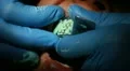 A closeup of a dental imprint HD Footage