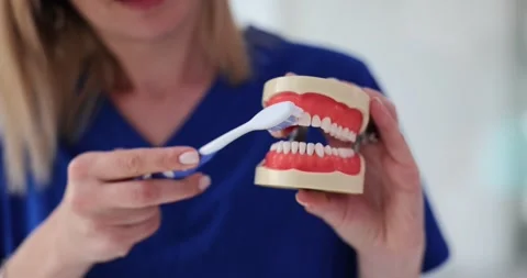 Closeup of dentist hands on artificial jaw showing how to properly brush teeth Stock Footage 260813097