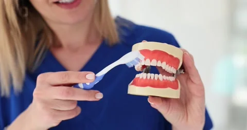 Closeup of dentist hands on artificial jaw showing how to properly brush teeth Stock Footage 266388494