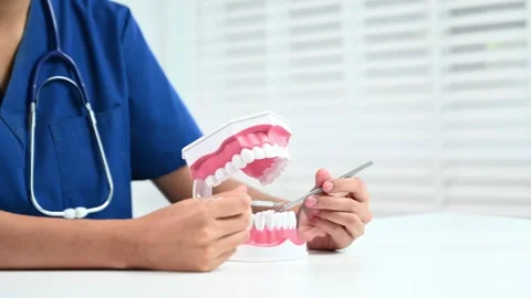 Closeup of dentist using dental tools on tooth model for hygiene demo. Grea.. Stock Footage 312773522