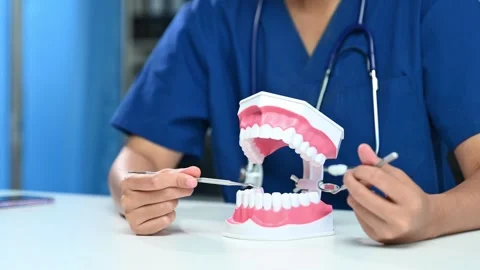 Closeup of dentist using dental tools on tooth model for hygiene demo. Grea.. Stock Footage 312773526