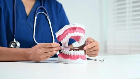 Closeup of dentist using dental tools on tooth model for hygiene demo. Grea.. Stock Footage 312773529