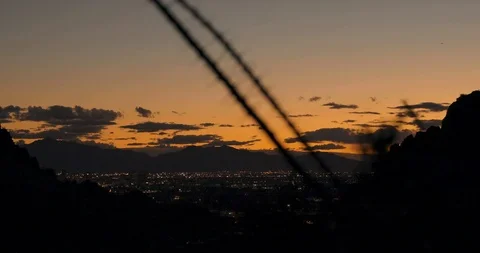 Closeup of a Desert Plant during the Sunset Stock Footage 103189903