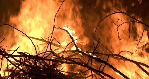 Closeup detail of material ablaze in a large forest fire Stock Footage 122075897
