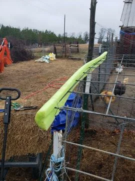 Closeup detail of split pool noodle edge protector cover lamb creep feeder Stock Photos