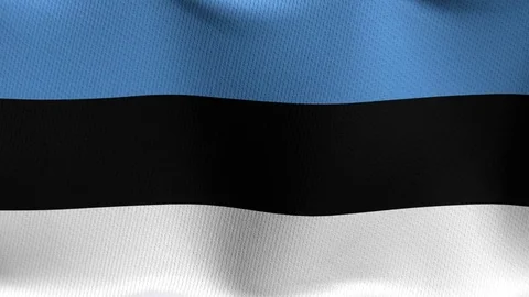 Closeup detailed and loopable waving flag of Estonia Stock-Footage 84987891
