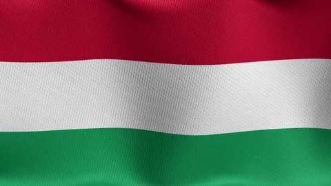 Closeup detailed and loopable waving flag of Hungary 스톡 동영상 84988002