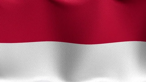 Closeup detailed and loopable waving flag of Monaco 스톡 동영상 84988179