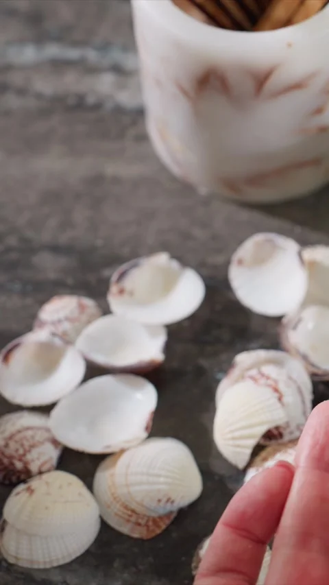 Closeup detailed examination of small seashells and human hand on stone surface Stock Footage 344675433