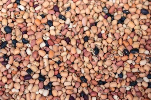 Closeup of different types of beans background. Bean texture Stock Photos