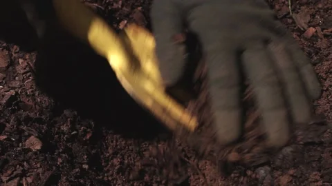 Closeup of digging a hole in planting soil to plant a seedling Stock Footage 162952472