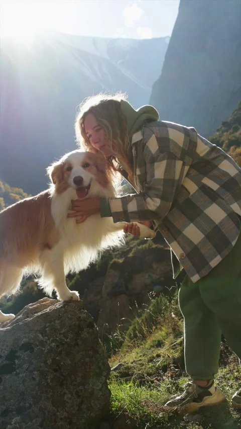 Closeup dog sitting next its owner and give a paw. Concept human animal Stock Footage 303527148