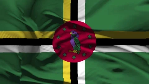 Closeup Dominica Flag Wave Loop waving in wind Realistic Dominica Flag backg Stock Footage 320453238