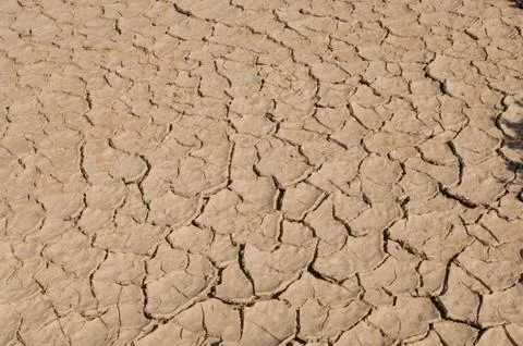 Closeup of Dried Clay Stock-Fotos