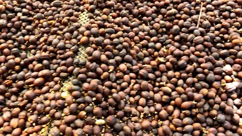 Closeup Dried coffee beans Background Stock Footage 123685940