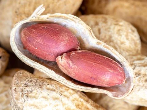 Closeup dried peanuts in shells on peanuts background on wooden table. Concep Foto stock