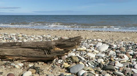 Closeup of driftwood on beach Stock Footage 49289327