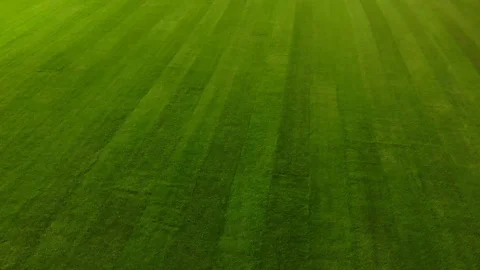 Closeup drone shot of a recently sodded soccer field in a large stadium. Video stock 99458362