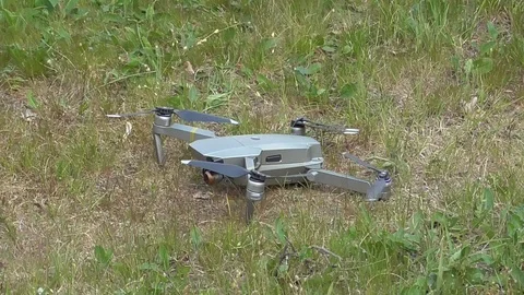 Closeup drone start flying over the grassland Stock Footage 129898609