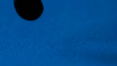 Closeup of a drop of black paint drop Stock Footage 101441712