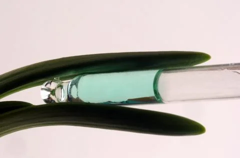 Closeup on dropper with onion Stock Photos