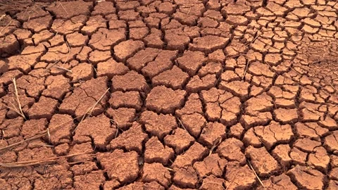 Closeup of dry and cracked ground land on Amazon farm after deforestation. 4K Stock Footage 232496549