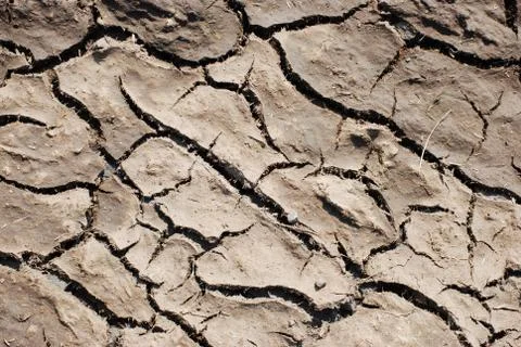 Closeup of a dry and cracked patch of earth Stock Photos