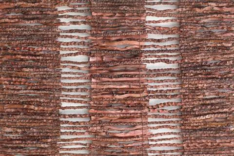 Closeup dry vine texture Stock Photos