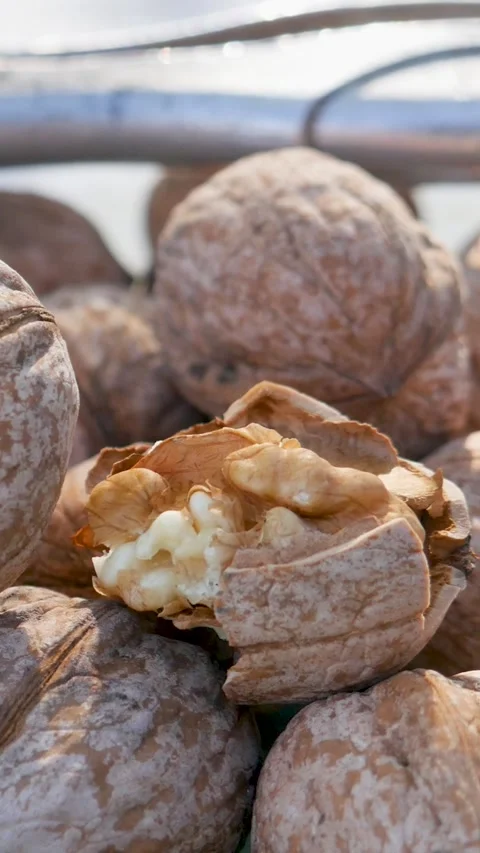 Closeup of dry walnut shells split open 動画素材 344168768